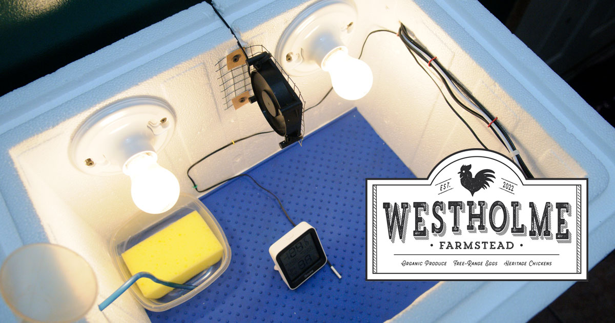 I Built An Incubator! Westholme Farmstead McGee Lake, Nova Scotia