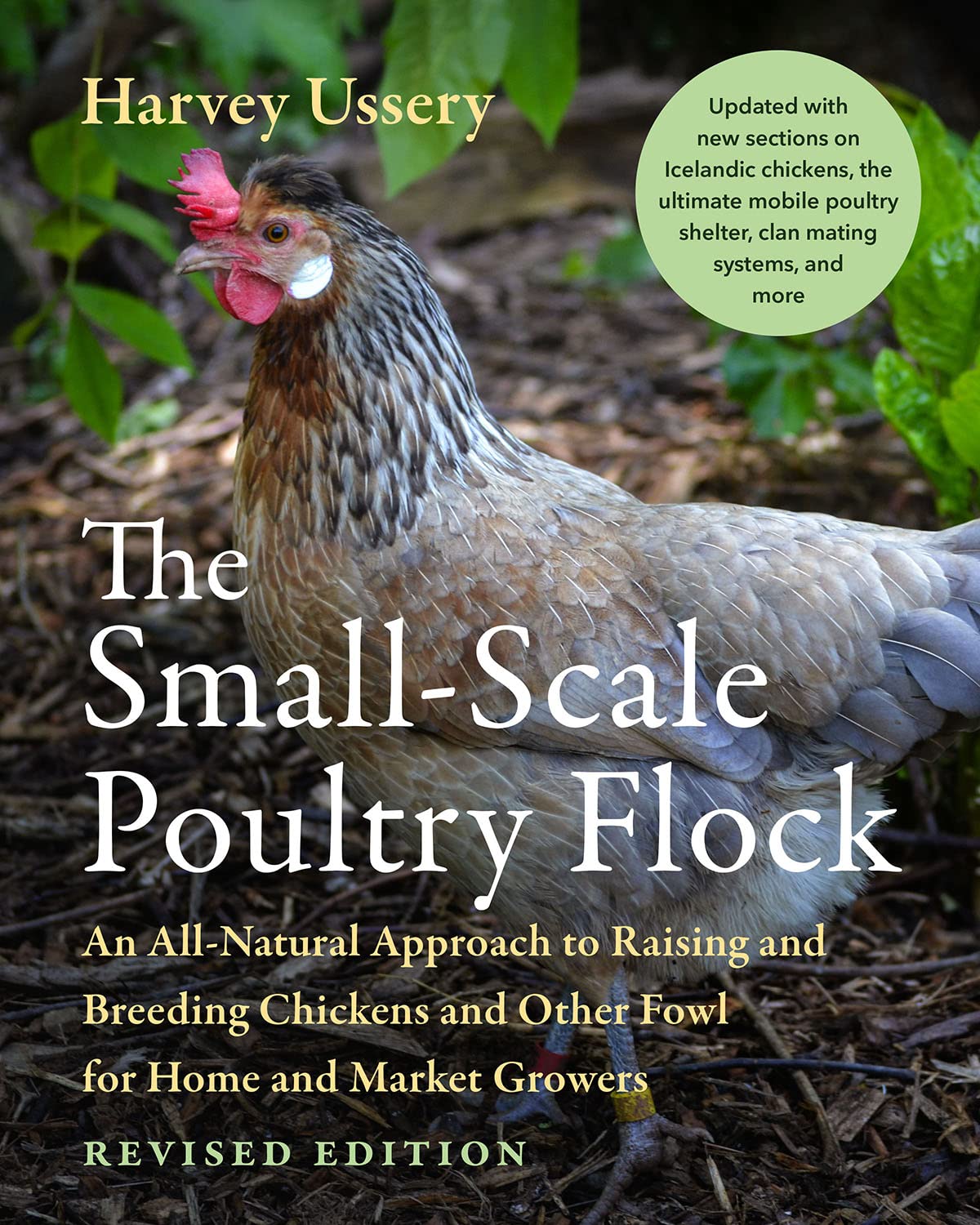 the-small-scale-poultry-flock