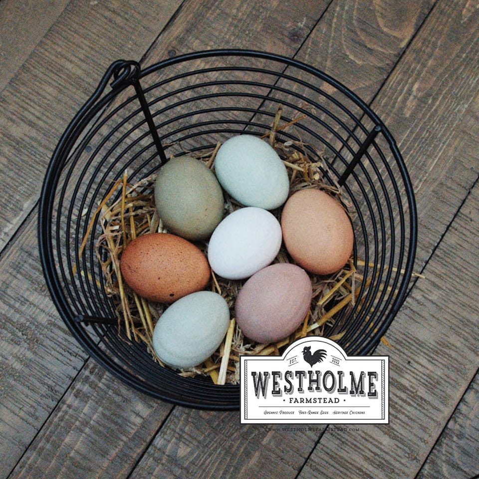 Egg basket with logo